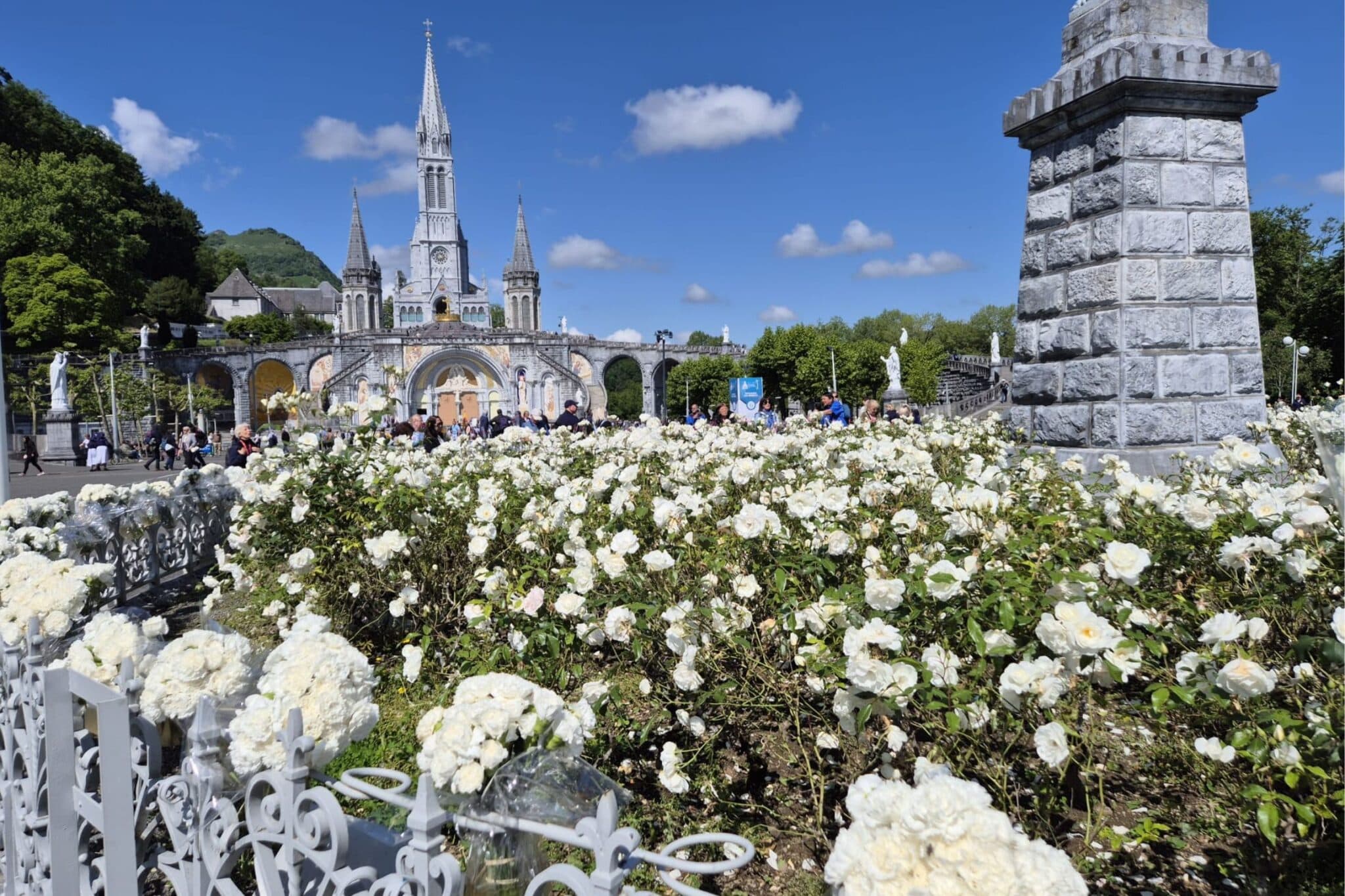 The Healings of Lourdes